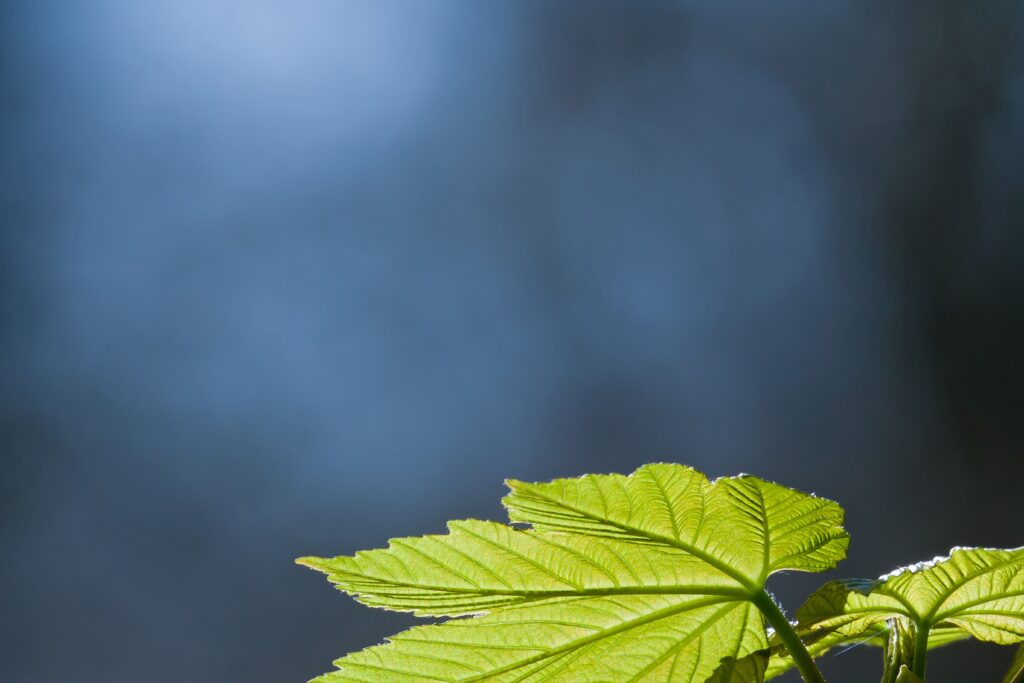 719Un día con Ruaj | Acompañar procesos de discernimiento en común y reconciliación